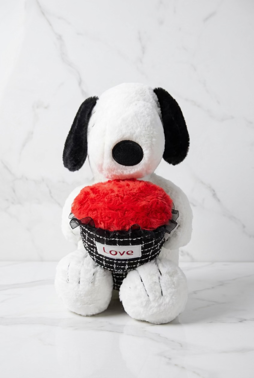 Snoopy With A Plushie Bouquet