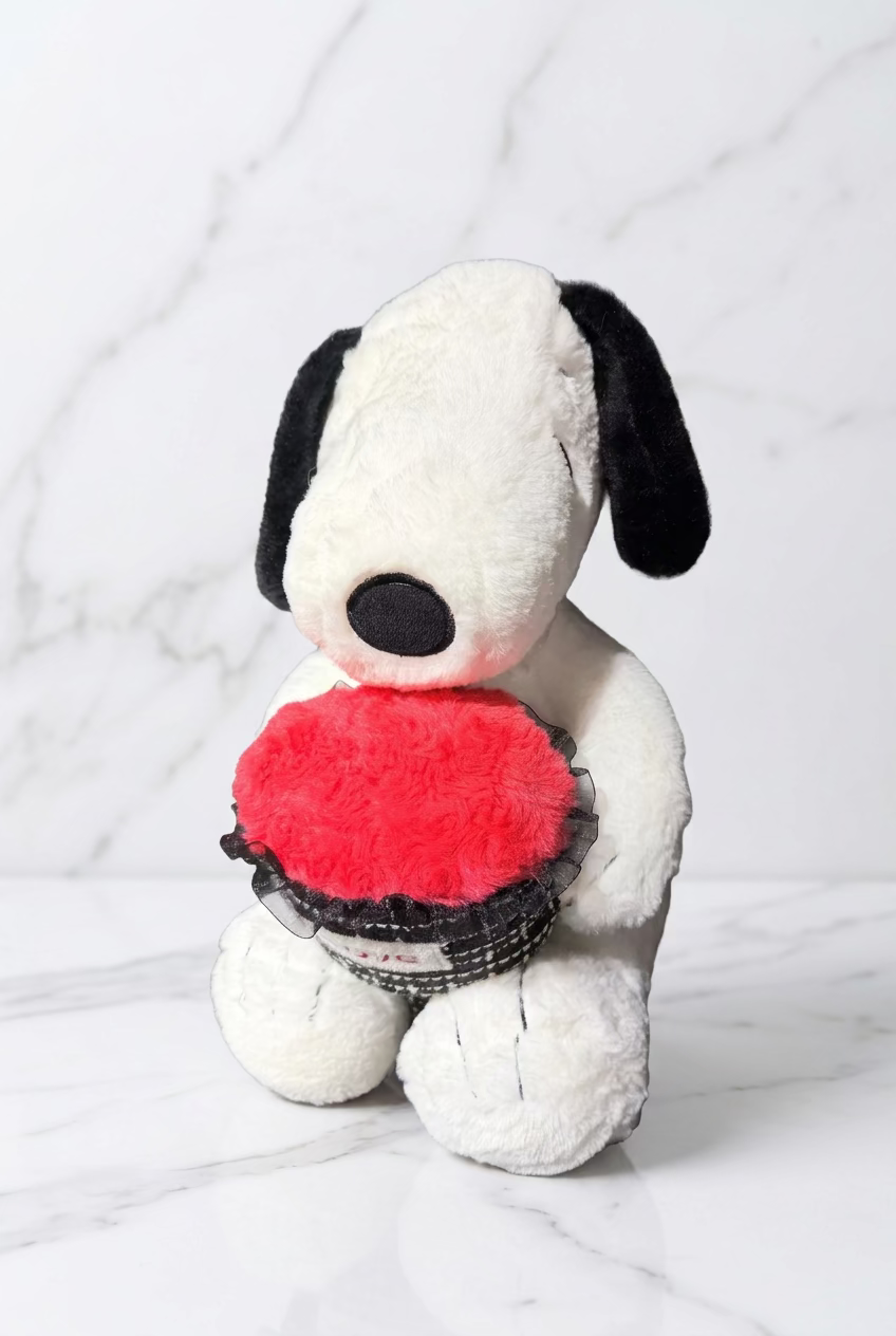 Snoopy With A Plushie Bouquet